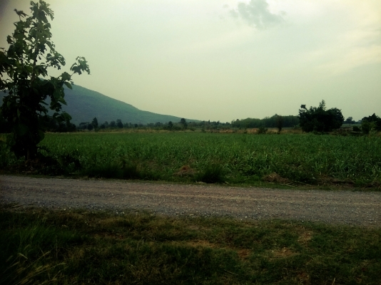 ขายที่ดินอยู่อาศัยพร้อมที่ดินโฉนดทำกิน 12 ไร่ 2 งาน ราคา 1,800,000 บาท ขายที่ดินอยู่อาศัยพร้อมที่ดินโฉนดทำกิน 12 ไร่ 2 งาน ราคา 1,800,000 บาท