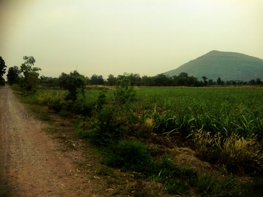 ขายที่ดินอยู่อาศัยพร้อมที่ดินโฉนดทำกิน 12 ไร่ 2 งาน ราคา 1,800,000 บาท ขายที่ดินอยู่อาศัยพร้อมที่ดินโฉนดทำกิน 12 ไร่ 2 งาน ราคา 1,800,000 บาท