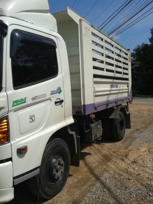 ขายดาว HINO Mega