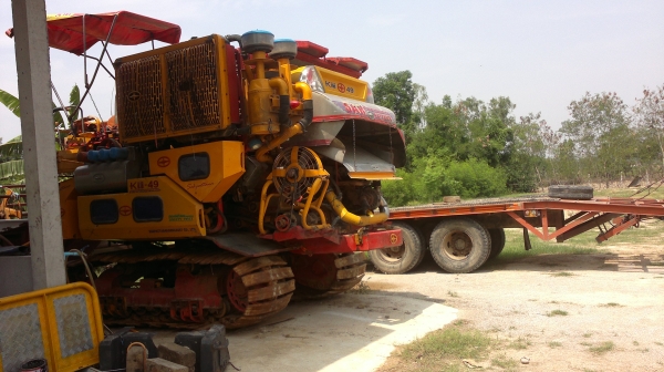 ขาย  KM49  กับ  หน้ายาว