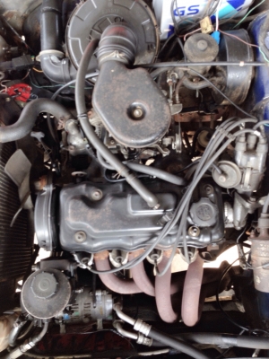 ขายคาริเบี้ยนยกสูงแล้ว ขายคาริเบี้ยนยกสูงแล้ว