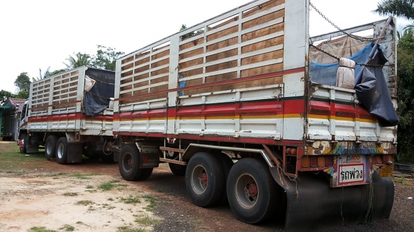 **2,450,000 บ.ต่อรอง**ขาย10ล้อพ่วงแม่ลูกไม่ดั้ม มือเดียวป้ายแดง แม่ ISUZU DECA FXZ 320 MAXLOAD ปี51 FXZ23NZH2 เครื่องเดิมเกียร์เดิม 6SD1 เทอโบ 320แรง แน่นๆแห้งๆ แรงดีไม่เยิ้ม ช่วงล่างเดิมๆ คัสซีสวยจัด ไม่มีบวมไม่มีช้ำ กระบะเหล็กคอกเกษตรไม่ดั้ม สภาพดี พื้น **2,450,000 บ.ต่อรอง**ขาย10ล้อพ่วงแม่ลูกไม่ดั้ม มือเดียวป้ายแดง แม่ ISUZU DECA FXZ 320 MAXLOAD ปี51 FXZ23NZH2 เครื่องเดิมเกียร์เดิม 6SD1 เทอโบ 320แรง แน่นๆแห้งๆ แรงดีไม่เยิ้ม ช่วงล่างเดิมๆ คัสซีสวยจัด ไม่มีบวมไม่มีช้ำ กระบะเหล็กคอกเกษตรไม่ดั้ม สภาพดี พื้น