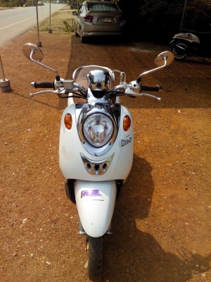 ฟีโน่ปี53