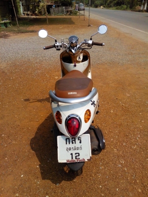 ฟีโน่ปี53