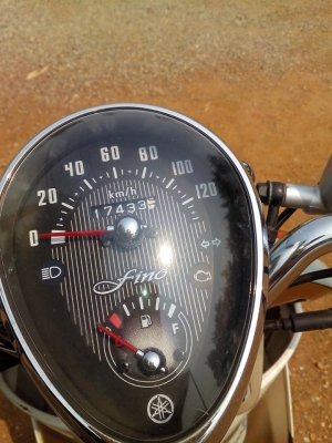 ฟีโน่ปี53