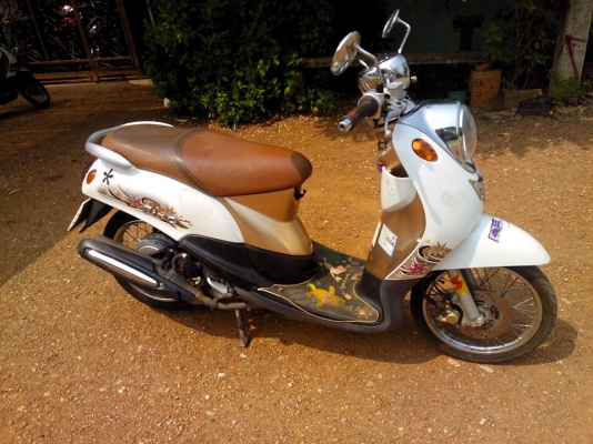 ฟีโน่ปี53