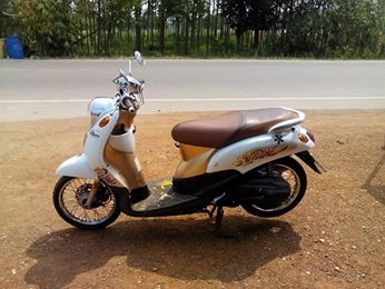 ฟีโน่ปี53