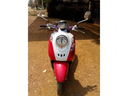 ฟีโน่ปี51ราคาเบา ๆ