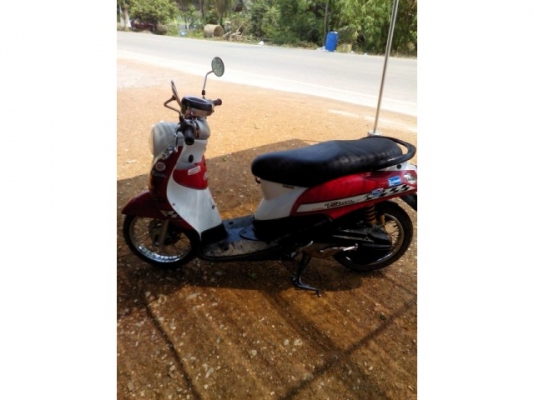 ฟีโน่ปี51ราคาเบา ๆ