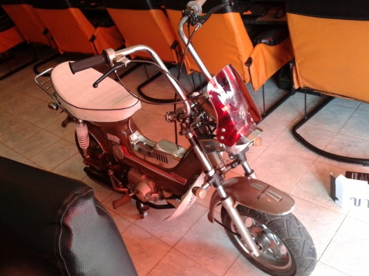 ขายชาลี ขายชาลี