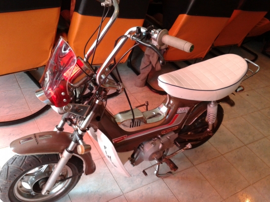 ขายชาลี ขายชาลี