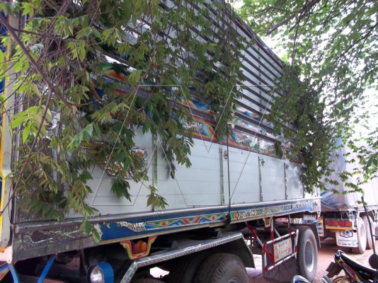 ขาย ฮีโน่โปรเฟีย 380 แรง คอมมอลเร็ล P11C / ปี 2553 / พ่วง 24 ล้อดั๊มเนียมเกษตรสวยๆ ขาย ฮีโน่โปรเฟีย 380 แรง คอมมอลเร็ล P11C / ปี 2553 / พ่วง 24 ล้อดั๊มเนียมเกษตรสวยๆ