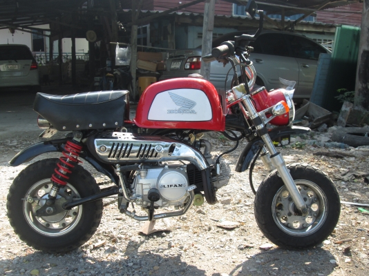 ขายกอลิล่า 0894946922 น้องครับ ลดราคาเหลือ19900