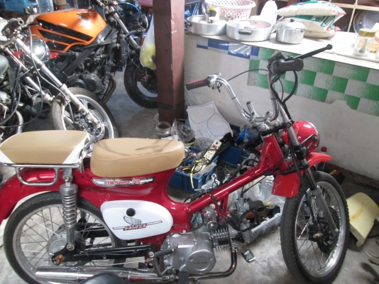 ขายกอลิล่า 0894946922 น้องครับ ลดราคาเหลือ19900