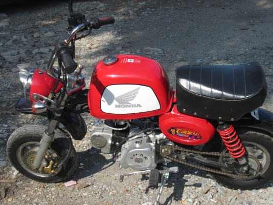 ขายกอลิล่า 0894946922 น้องครับ ลดราคาเหลือ19900