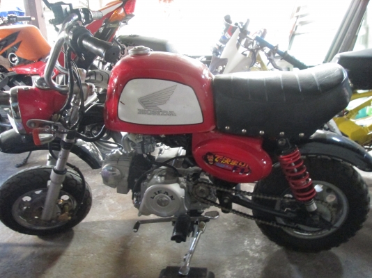 ขายกอลิล่า 0894946922 น้องครับ ลดราคาเหลือ19900