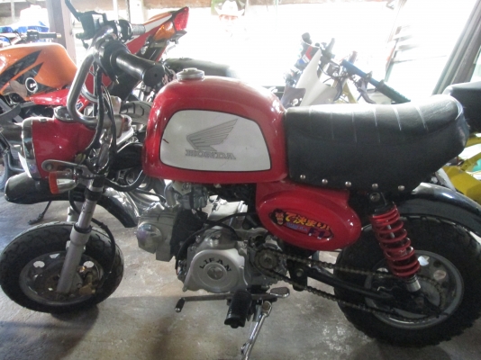 ขายกอลิล่า 0894946922 น้องครับ ลดราคาเหลือ19900