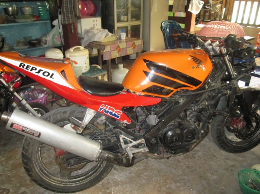 ขายกอลิล่า 0894946922 น้องครับ ลดราคาเหลือ19900