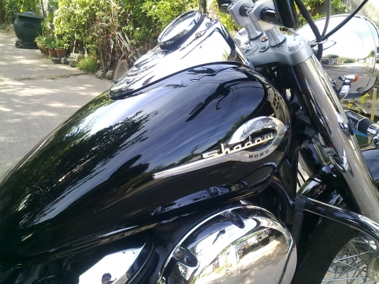 ขาย Shadow classic สรรพสามิต + อินวอย์ รถปี 99 ขาย Shadow classic สรรพสามิต + อินวอย์ รถปี 99