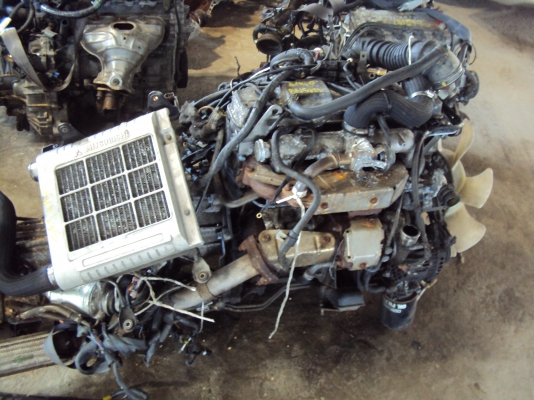 ขายเครื่องยนต์มือสองนำเข้าโดยตรงจาก ญี่ปุ่น มี่เครื่องและอะไหล่ทุกชนิดราคาเป็นกันเองที่สุด ติดต่อ สุรินทร์ 089-444-6028 /อภิชัย 081-562-8273 ขายเครื่องยนต์มือสองนำเข้าโดยตรงจาก ญี่ปุ่น มี่เครื่องและอะไหล่ทุกชนิดราคาเป็นกันเองที่สุด ติดต่อ สุรินทร์ 089-444-6028 /อภิชัย 081-562-8273