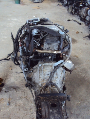 ขายเครื่องยนต์มือสองนำเข้าโดยตรงจาก ญี่ปุ่น มี่เครื่องและอะไหล่ทุกชนิดราคาเป็นกันเองที่สุด ติดต่อ สุรินทร์ 089-444-6028 /อภิชัย 081-562-8273 ขายเครื่องยนต์มือสองนำเข้าโดยตรงจาก ญี่ปุ่น มี่เครื่องและอะไหล่ทุกชนิดราคาเป็นกันเองที่สุด ติดต่อ สุรินทร์ 089-444-6028 /อภิชัย 081-562-8273