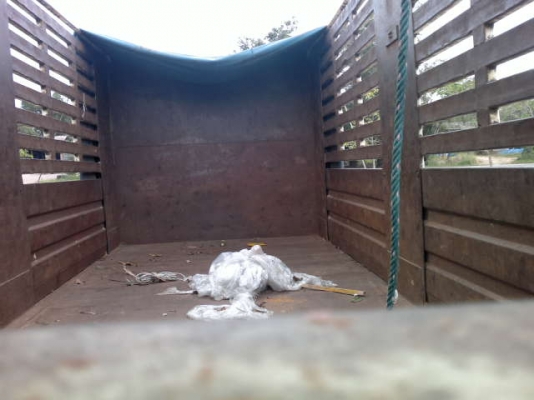 รถฮีโน่ 10 ล้อ KT 925 หลังถนน รั่ว 195 แรงม้า HO7D สนใจติดต่อ 081 - 6079515 รถฮีโน่ 10 ล้อ KT 925 หลังถนน รั่ว 195 แรงม้า HO7D สนใจติดต่อ 081 - 6079515