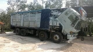 รถฮีโน่ เปอร์เฟีย 12 ล้อ วางเครื่อง K13C 335 แรงม้า ปี 51 สนใจติดต่อ 081 - 6079515 รถฮีโน่ เปอร์เฟีย 12 ล้อ วางเครื่อง K13C 335 แรงม้า ปี 51 สนใจติดต่อ 081 - 6079515