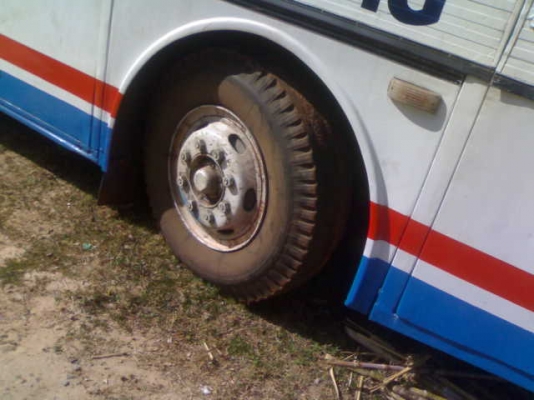 บัส 44ที่หนั่ง เครื่อง ben