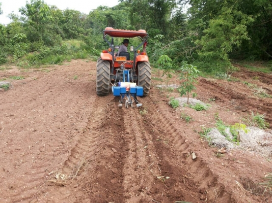 ขายเครื่อง ปลูกข้าวโพด (หมดชั่วคราวครับ) ขายเครื่อง ปลูกข้าวโพด (หมดชั่วคราวครับ)