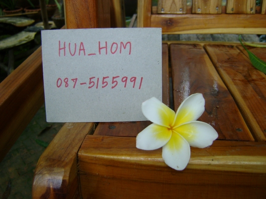 ขายชิงช้าไม้สักทอง ขายชิงช้าไม้สักทอง