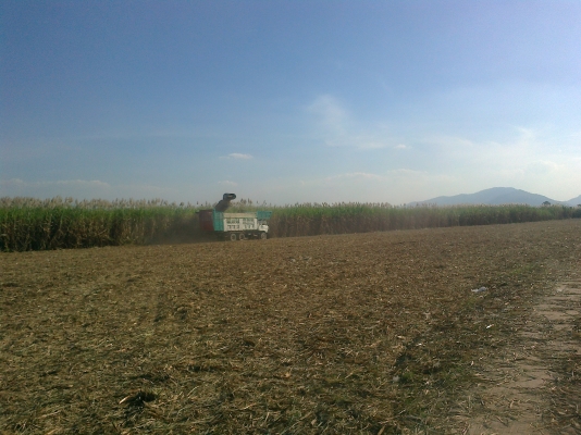 ขายสิบล้อ 2 เพลาใหญ่ ราคา ไม่แพง