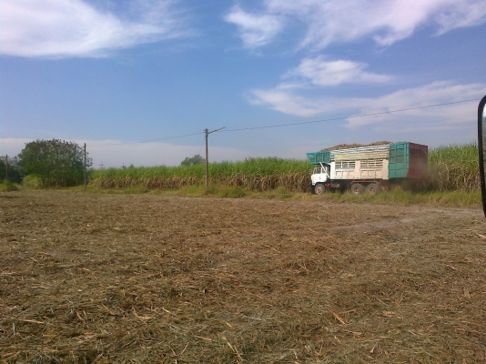 ขายสิบล้อ 2 เพลาใหญ่ ราคา ไม่แพง