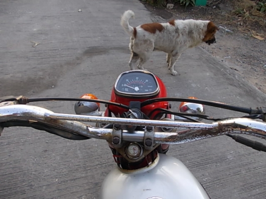 honda CL50cc ประกอบใหม่ รถมือ1เมืองไทย ของแท้อยู่ครบ