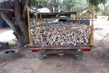 ขายรถ คุณแต๋น