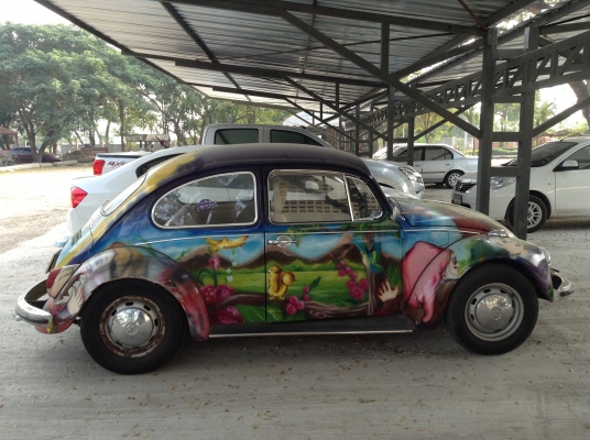 ขายเต่าสภาพดีวิ่งคล่อง