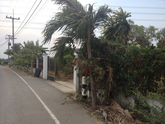 ขายบ้านพร้อมที่ดิน 2 ไร่ บ้าน 2 หลัง แบบน่าอยู่อาศัย ราคาถูก (ขายแล้ว)