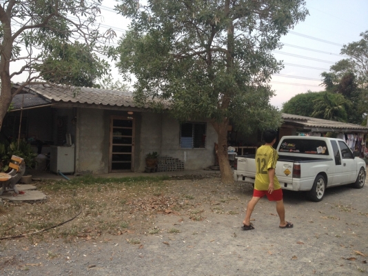 ขายบ้านพร้อมที่ดิน 2 ไร่ บ้าน 2 หลัง แบบน่าอยู่อาศัย ราคาถูก (ขายแล้ว)