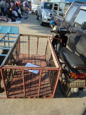 มอไซด์พ่วงข้างลดเหลือ4,200.- มอไซด์พ่วงข้างลดเหลือ4,200.-