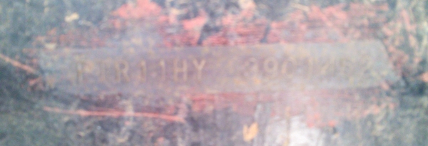 อีซูสุ ร๊อคกี้175 แรงม้า 10ล้อเพลาเดียว หัว-คัชซี อีซูสุ ร๊อคกี้175 แรงม้า 10ล้อเพลาเดียว หัว-คัชซี