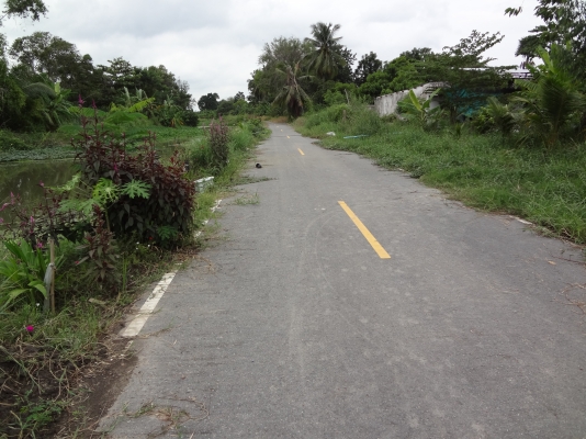 ที่ดินติดถนนลาดยาง บรรยากาศดี ราคาผ่อนได้