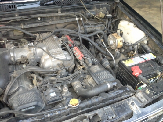 รถถูกพร้อมใช้เข้าสวนเข้าป่าเข้าไร่ รถถูกพร้อมใช้เข้าสวนเข้าป่าเข้าไร่