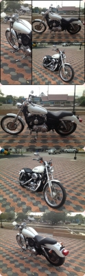 Hd sporster 1200 custom 2004