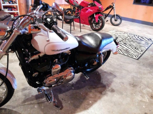Hd sporster 1200 custom 2004