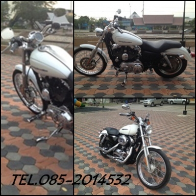 Hd sporster 1200 custom 2004