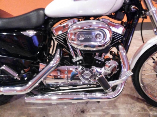 Hd sporster 1200 custom 2004