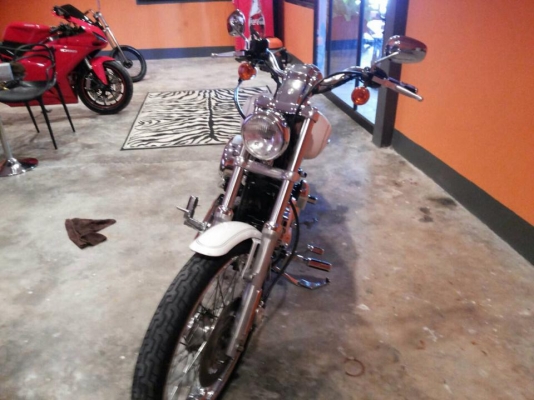 Hd sporster 1200 custom 2004