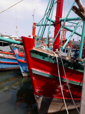 ขายเรือไดหมึก ตกปลา ขายเรือไดหมึก ตกปลา