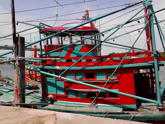 ขายเรือไดหมึก ตกปลา ขายเรือไดหมึก ตกปลา