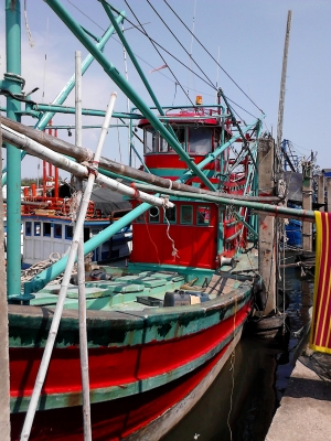 ขายเรือไดหมึก ตกปลา ขายเรือไดหมึก ตกปลา