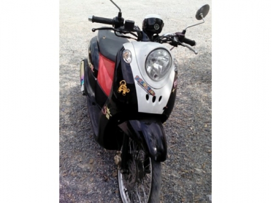 Fino 53 ขายสองคัน